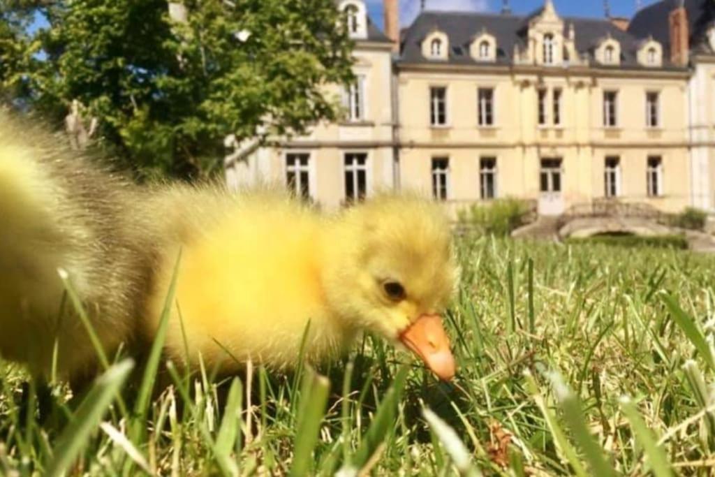 Maison A Colombages Pres De Deauville, Trouville Formentin Esterno foto