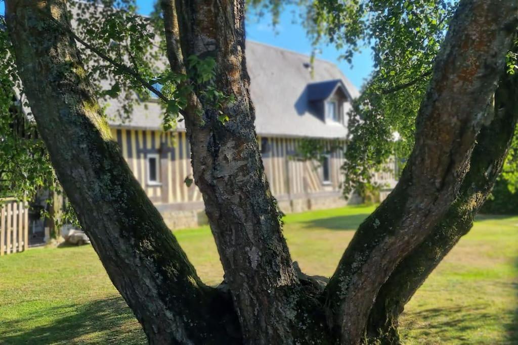 Maison A Colombages Pres De Deauville, Trouville Formentin Esterno foto
